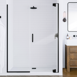 Flex X Duo Pivot Door and Inline Panel Shower Door