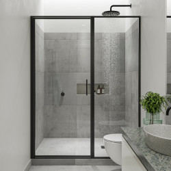 Axio Pivot Door and Panel Shower Door